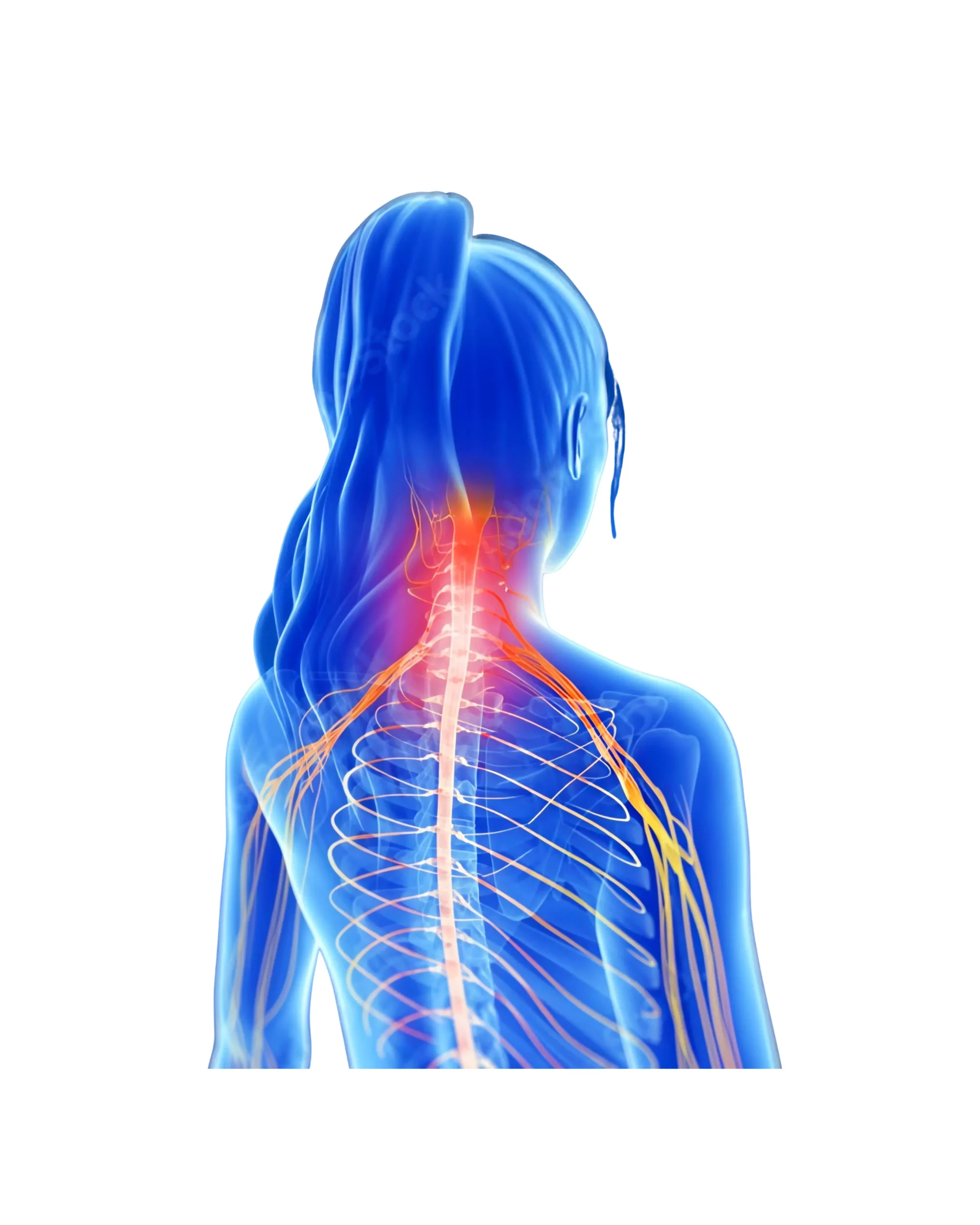 neck pain treatment in st john's wood